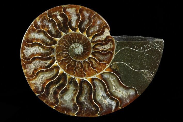 Agatized Ammonite Fossil (Half) - Madagascar #83860